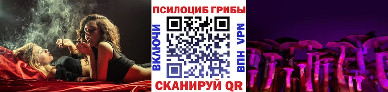 Псилоцибиновые грибы Psilocybine cubensis  Саратов 